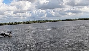I’ve been fishing a lot lately and trying to pull clips from a GoPro and editing with old man eyes..anywho here’s an amazing sight I caught today while fishing off a bridge. Dolphins around you are never good because they scare and eat your fish. But these dudes were having a good ole time! More to come! 🙏🙏🤙👊🎣 | Rick Martinez