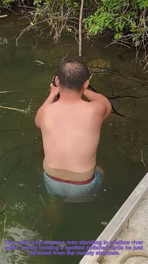 Hand-Catching a Wild Softshell Turtle | River Foraging Adventure