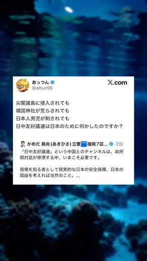 日中友好議連は日本のために何かしたのですか？
