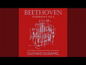Symphony No. 5 in C Minor, Op. 67: I. Allegro con brio