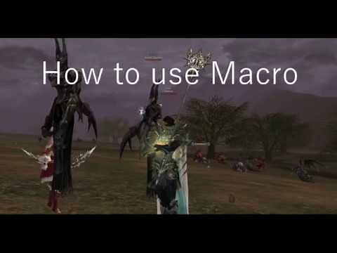 How to Macro / BOT / Lineage 2 / Wynn Summoner / Quest: Duty of Survivor (doesn't work in classic)