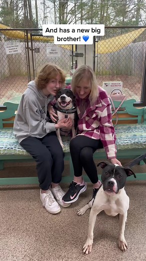 Duncan's Heartwarming Adoption Story at Mostly Mutts in Kennesaw, Georgia!