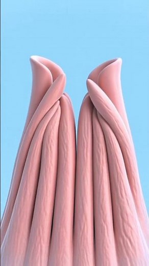 “Neurulation: Formation of the Nervous System”.