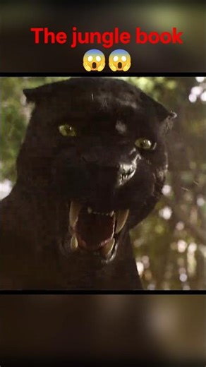 mowgli ke peeche bagheera |the jungle book|#viralshorts #movieclips