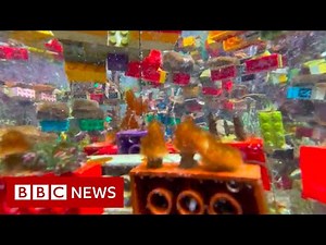 Can Lego help save Singapore's coral reefs? - BBC News