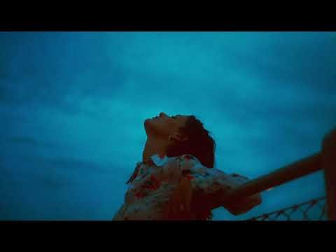 LÉON - Crazy Stupid (Audio)