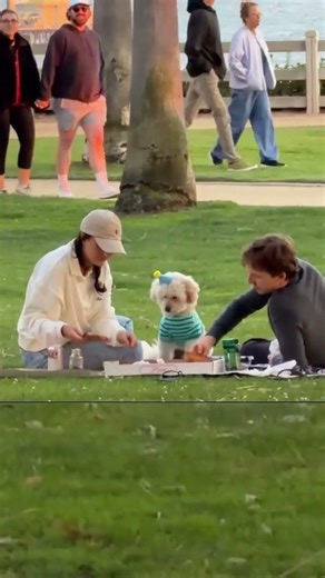 Los perros también son felices comiendo pizza