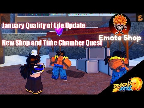 New Shop Items and Time Chamber Quest! | Dragon Soul