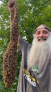 A #swarm in July pass it by? When is it to late to start #beekeeping 🤔 like most of #apicultura “it depends” but these #bees are saying they are ready to start this week so I will answer the call 🧙🏻‍♂️ #beekeeper #beehive #beeremoval #honeybees #summer #summertime #savethebees | Sol Nectar Farm