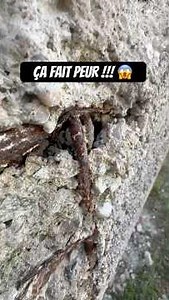 This building makes no sense 😱 So much poorly installed metalwork… #renovation #construction #bui...