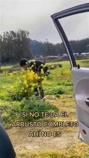 Ahuevo | no mameees!!! ¬¬