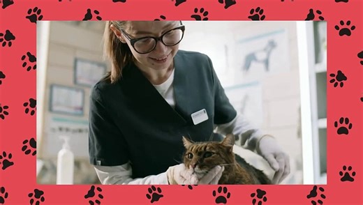 A Guide to Healthy Cat Poop What Every Cat Owner Should Know- Pawdarling