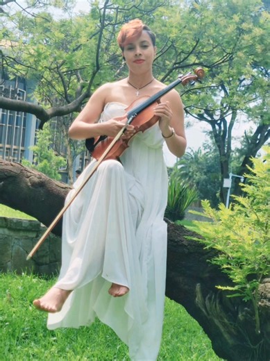 Music Nature #violin #violincover