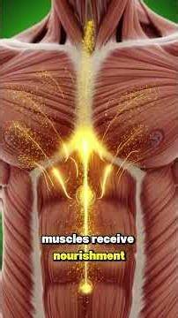 What Happens to Your Body After 30 Days of Turmeric?