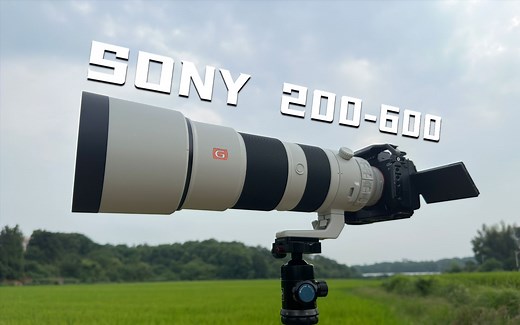索尼200-600mm G 开箱搭配A7M4试拍