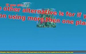 Topsy Turvy Upside Down Tomato Planter - How to Properly Han