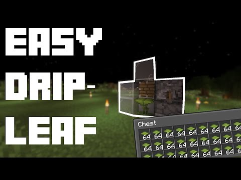 Easiest Dripleaf Farm in Minecraft 1.19+ (AFK)