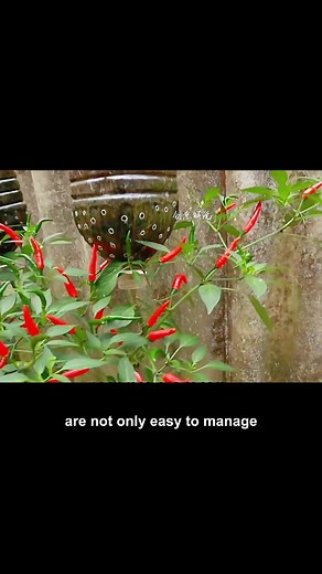 #handmade #diy #process #technology