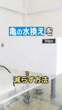 [Filter] Reduce the amount of water changes for your turtle with a top filter tank! Excellent fil...