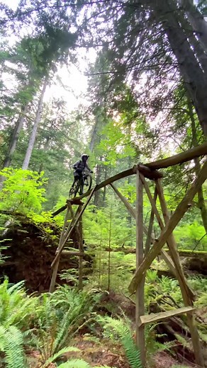 Mastering the Mountain Bike Trails: A Balancing Act