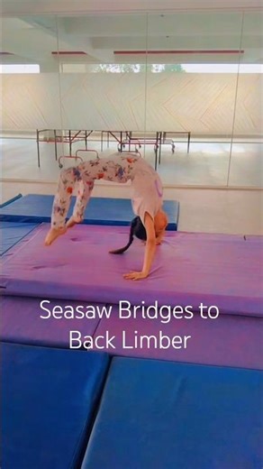 Seasaw Bridges to Back Limber