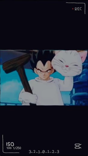 All Things DBZ on Reels