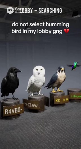 Hilarious Hummingbird Gameplay Moments