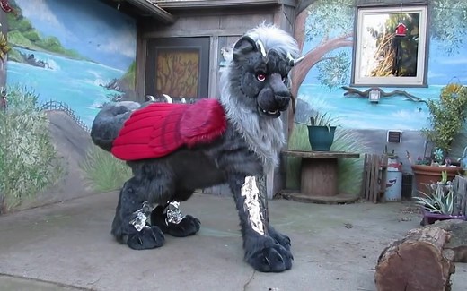 【四足兽装】银色鬃毛-龙猫套装展示