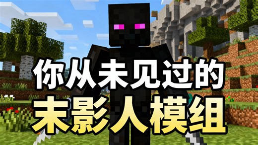 [中配]你从未见过的末影人模组 - Skip the Tutorial