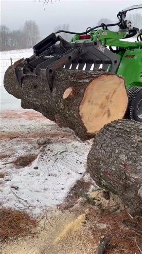 Avant 528 with Ryan’s grapple mowing big white pine logs with ease #treework #arborist