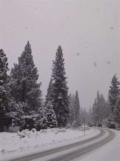 Incredible Powder in Tahoe's First Big Storm of the Season