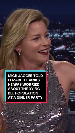 @Mick Jagger told @Elizabeth Banks he was worried about the dying bee population at a dinner party 🐝 #FallonTonight #TonightShow #ParisOlympics #ElizabethBanks #MickJagger #JimmyFallon