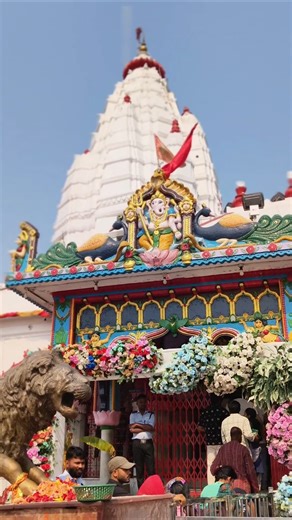 Maa Samaleswari Manidra Sambalpur Orissa #bauria #maasamaleswari #sambalpuristatus #bhajan #tending