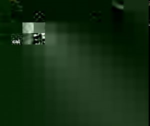 The calyptra (also known as corolla) is a covering tissue for stamens and carpels on a California table grape flower, and is made up of three to nine greenish petals firmly united at the tip. Discover more about the annual California table grape cycle at https://bit.ly/3atHvg3. | Grapes From California