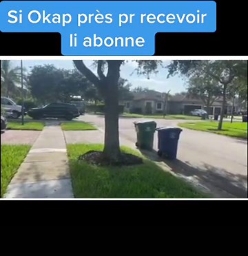 Garbage Collection Day on a Suburban Street