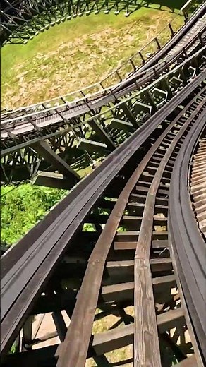 Jump aboard the wildest ride in the woods! 🎢