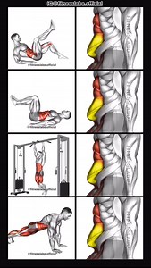 ✅ Lower Abs Workout ① Alternate Leg Lifts ② Laying Hip Raise ③ Hanging Leg Raise ④ Frog Crunch 3 sets 12-15 reps #fitness #gym #exercise #workout #workoutroutine #exercisetips #fitnesstips #bodybuilding #abs #absworkout | Fitnesslabo