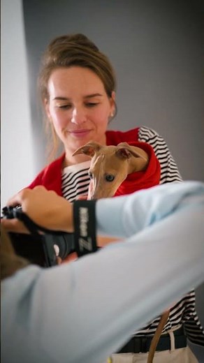Huisdieren fotografie