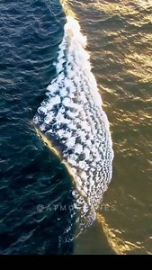 Two oceans meet, but they don't mixed 🌊 | Travel magazine