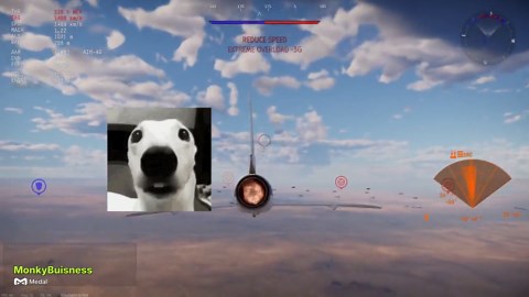 High traffic War Thunder servers are not for the weak - Clipped War Thunder with Medal.tv