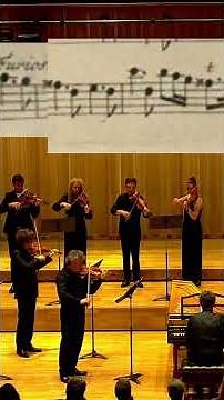 Vivaldi's Summer — La Serenissima | The music that sounds like malaria