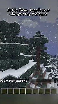 Differences between MC Java & Bedrock Pt.4