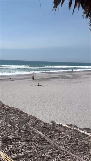 Videos de De sorto🤩 (@de.sorto) con “El Columpio - El Primo Manolo y Sus Rieleros”