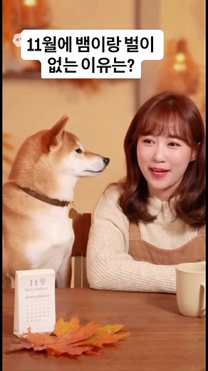 11월에 뱀이랑 벌이 없는 이유는?? #아재개그 #개드립 #웃긴동영상 #유머 #개그