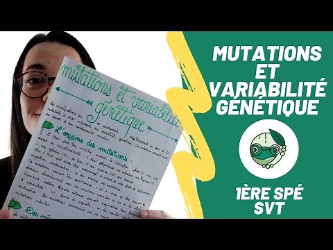 Mutations and genetic variability - 1st year of SVT specialization - Madame SVT