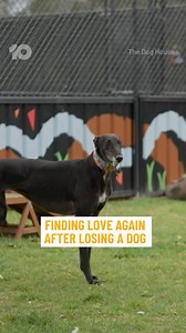 Social doggo Donna is ready to find her fur-ever family... will this couple be the perfect match? 🐶💕 NEW #DogHouseAU | 7.30 Tonight on Channel 10 | Watch Stream Free | The Dog House Australia