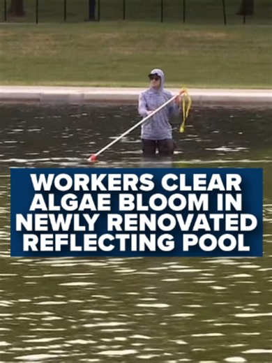 Workers are trying to clear an algae bloom that has turned the water green in the newly renovated Lincoln Memorial Reflecting Pool, just days after crews wrapped President Donald Trump’s $14 million renovations. Tap the link in our bio to read more.
