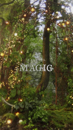 Terrain on Instagram: "Natural Magic 🔮 The @shopterrain Halloween Shop is OPEN! Otherworldly delights for the ​home + garden-ready to cast a spell. Follow the link in bio to conjure a season of enchantment."