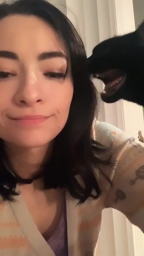Adorable Cat TikTok Compilation