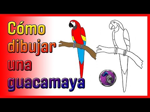 🦜How to draw a macaw🦜✏️😄